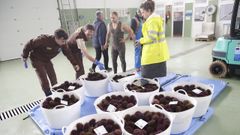 Guardas rurales y asistencia t�cnica est�n parcialmente subvencionados en las cofrad�as