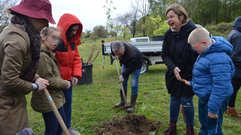 Escolares ovetenses plantar�n un centenar de �rboles en el Naranco