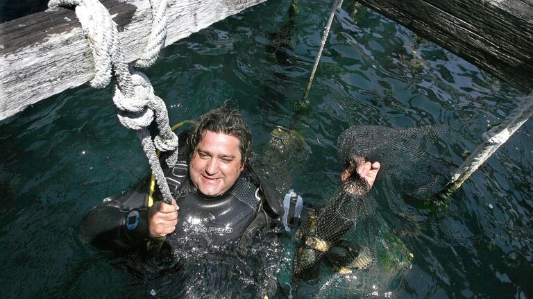 El en�logo del Bierzo, en una imagen del 2008, mientras rescataba varias botellas sumergidas en una batea y todav�a no se hab�a dejado crecer su caracter�stica barba
