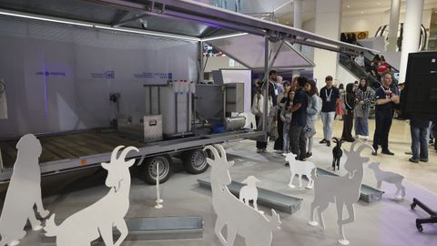 Proxecto AbeiroTec do CIFP Ferrolterra para facilitar a utilizaci�n de cabras en traballos de roza dos montes