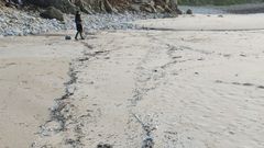 Bolas en la playa de Campelo, en el municipio de Valdovi�o