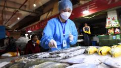 Trabajadora del servicio chino de control de enfermedades recoge muestras en un mercado de pescado