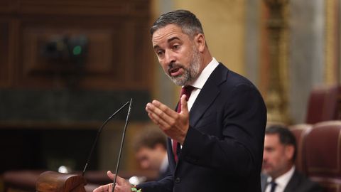 Santiago Abascal, en la tribuna de oradores del Congreso