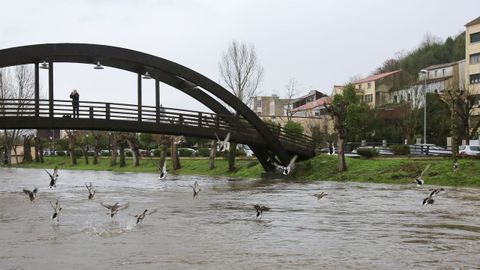 El agua lleg� a algunas zonas del paseo fluvial de Monforte