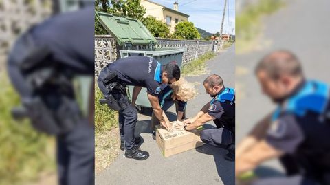 Los policas despus de sacar el gallo del contenedor, que est al fondo con la tapa abierta