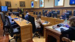 Pleno telem�tico del Ayuntamiento de Gij�n durante la pandemia de coronavirus