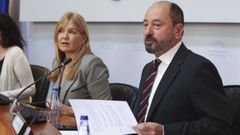 Xos� Merelles compareciendo este jueves en comisi�n parlamentaria