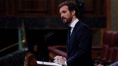 El l�der del PP, Pablo Casado, durante su intervenci�n en el pleno del Congreso