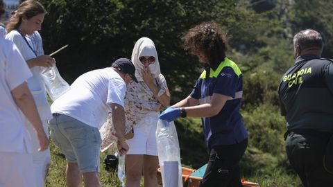  Accidentados son evacuados en helicptero tras despearse un autobs con 48 pasajeros en la subida a los Lagos de Covadonga