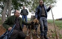 Varios ganaderos de Cervantes, con un mast�n con el que defienden al ganado del lobo. 