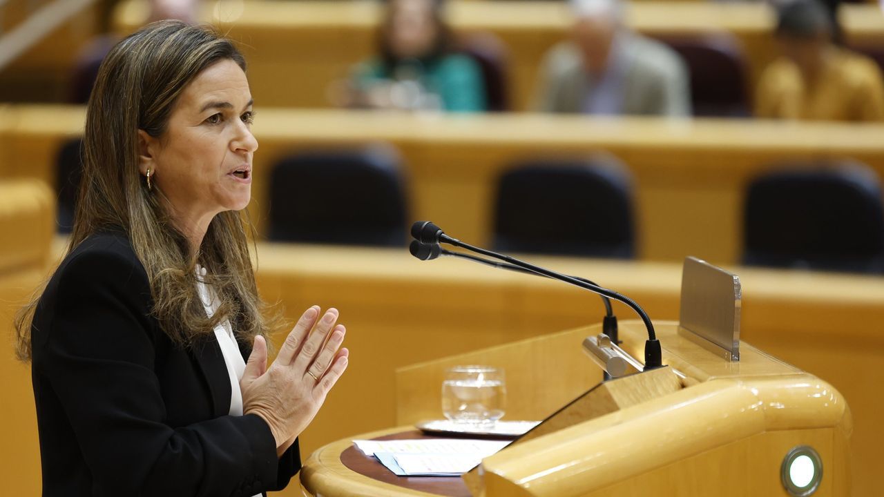 El Senado aprueba una iniciativa para forzar al Gobierno a crear más juzgados de violencia de género en Galicia