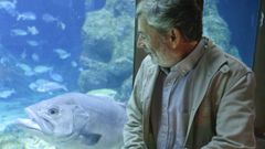 Francisco Armesto se despide del Aquarium de A Coru�a:���Dar espect�culo? No, nuestro fin siempre fue educar�