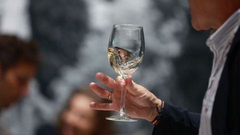 Una copa de vino blanco.