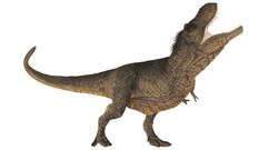 El tiranosaurio rex, uno de los ejemplares que estar� replicado en la exposici�n