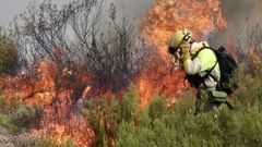 Un brigadista intenta extinguir una lengua de fuego cerca de Puercas, Zamora.