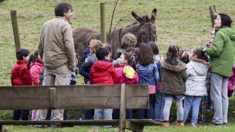 Alumnos del colegio Ayala en Aldea Nova