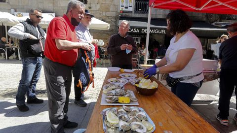 En Cambados se viven desde el viernes las Xornadas da Ostra, un evento que sirve para recaudar fondos para el Juventud Cambados. Este mediod�a es la �ltima oportunidad para degustar la docena de ostras planas a diez euros.