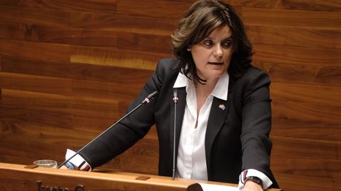 La diputada del PP Beatriz Polledo