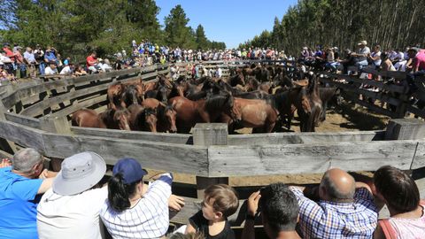 Varios cientos de personas participaron en las actividades programadas