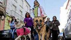 Marcha canina contra el maltrato animal