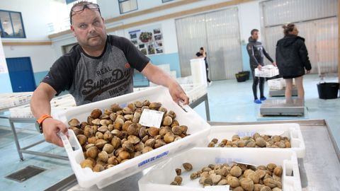 El carneiro alcanza los 16 euros en la lonja de Aguio