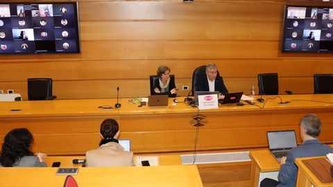 El rector, Ricardo Cao, y la secretaria general, Marta Garc�a, este viernes en el consello de goberno de la UDC que aprob� la descentralizaci�n del segundo ciclo de Medicina