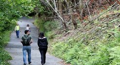 Algunos visitantes esperaban encontrar m�s vigilancia en las fragas del Eume.