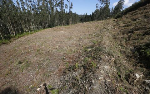 Bajo la tierra se aprecia la estructura circular, parte de la cual se ha visto afectada por la obras. 