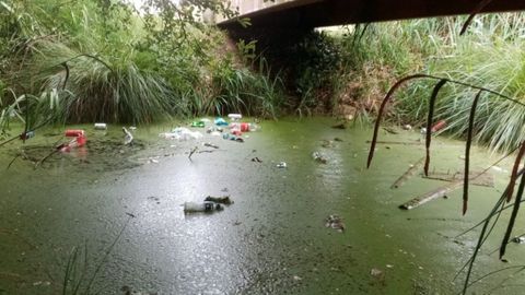 Acumulación de detritus en el Piles