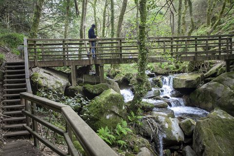 Ruta de Toxosoutos
