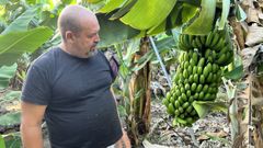 Jos� F�lix Rodr�guez, empresario platanero en La Palma de origen gallego 