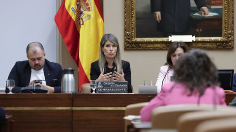 La periodista Maribel Vilaplana, durante su comparecencia en la comisi�n de la dana del Congreso