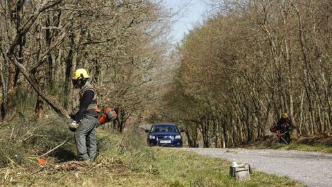 Trabajos preventivos de desbroce realizados por la Brif de Laza.