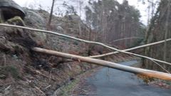 Ca&iacute;da de &aacute;rboles en la parroquia de Bravos en Ourol este mi&eacute;rcoles