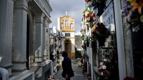 Cementerio de Elvia