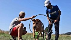 Proyecto vinculante de Baiona