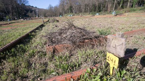 Entrega de material para os hortos urbanos da Deputacin de Lugo no Paseo do Rato