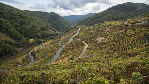Los vi�edos de San Fiz desde otra perspectiva