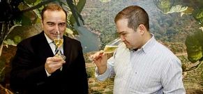 Vi�a Costeira vende 468 botellas para contribuir a la asociaci�n de alzh�imer.