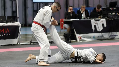 Campeonato gallego de hapkido en el Pabell�n de Barra�a