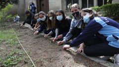 Os escolares te�en unha pequena zona do patio sementada con leitugas, pementos, pirixel e xirasoles