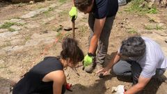 Excavacin en Mondoedo