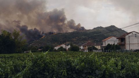 Vista del incendio forestal en Oímbra.
