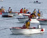 El inicio de la campa�a marisquera en Noia ha sido fijado en el d�a 6 de octubre. 