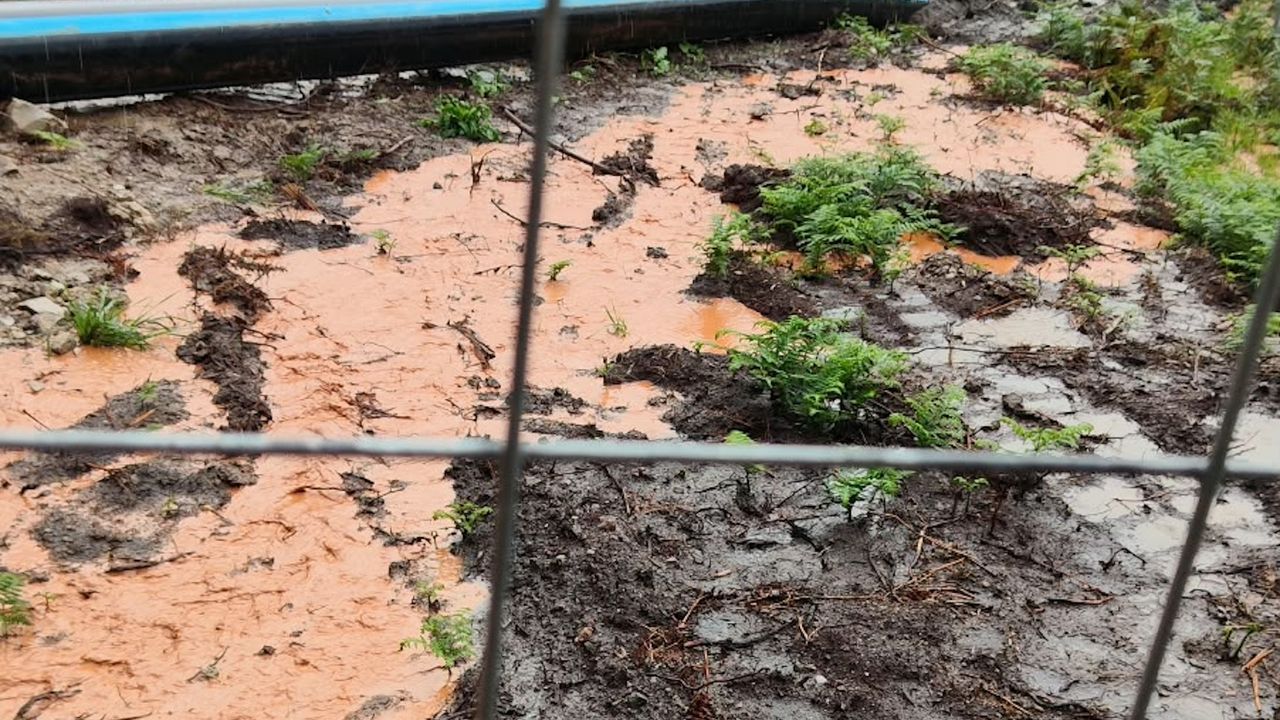 Alcoa niega tras una denuncia de ecologistas que haya filtraciones en la balsa de lodos