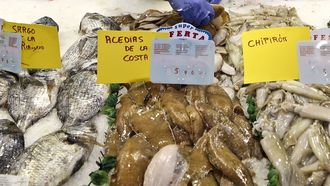 Aced�as en una pescader�a gallega, a�os atr�s.