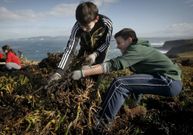Alumnos del IES Mar�a Casares retiran u�a de gato