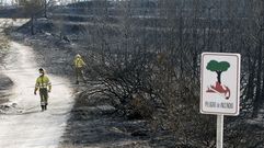 Lucha desesperada contra el fuego en Alicante