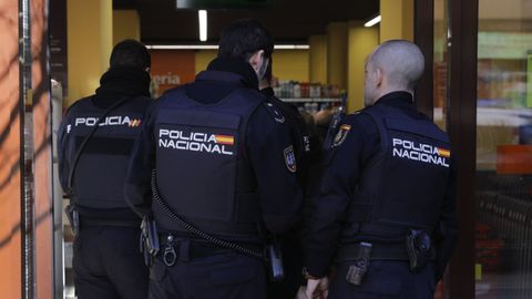 Agentes de la Polica Nacional en A Corua, en una imagen de archivo.