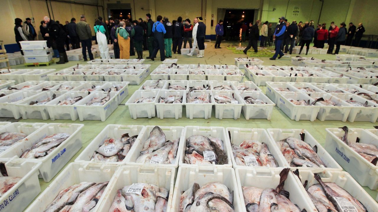 La orden de separar pescados difíciles de clasificar indigna a la flota española